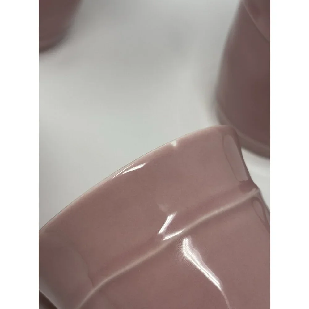 Pottery Barn Cambria Handcrafted Stoneware Mugs Rose Color Set Of 4